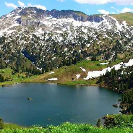 Ried By Interhome * Diemtigen