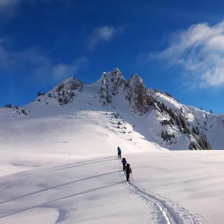 Ried By Interhome * Diemtigen