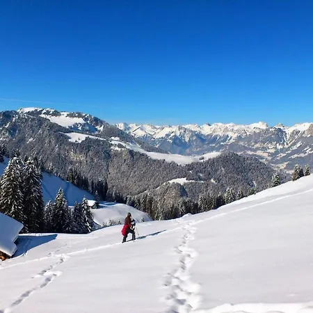 Ried By Interhome شقة Diemtigen