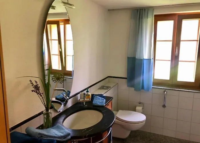 Apartment Ried By Interhome Diemtigen
