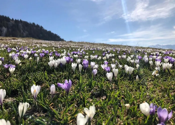 Apartment Ried By Interhome *