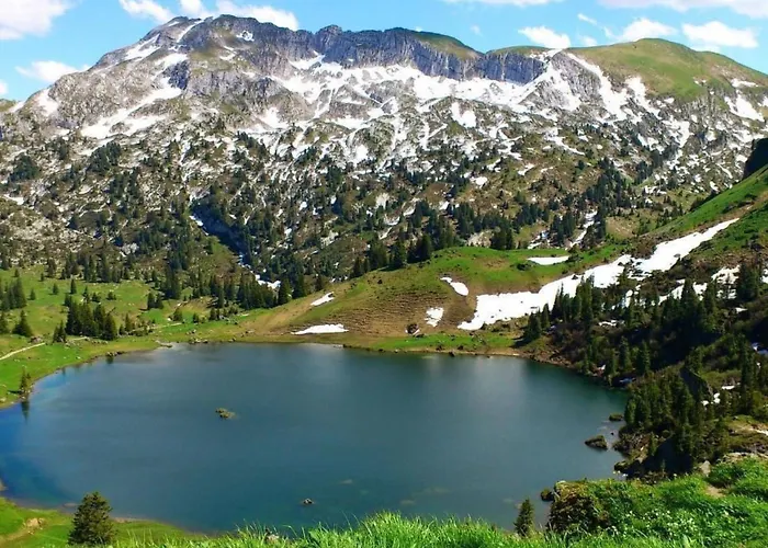 Ried By Interhome * Diemtigen