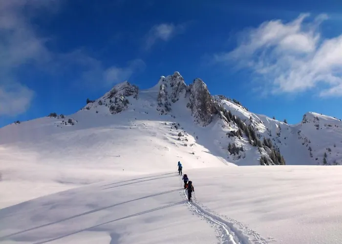 Ried By Interhome * Diemtigen