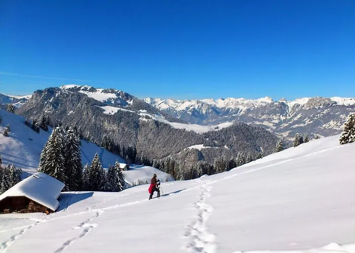 Ried By Interhome Apartment Diemtigen